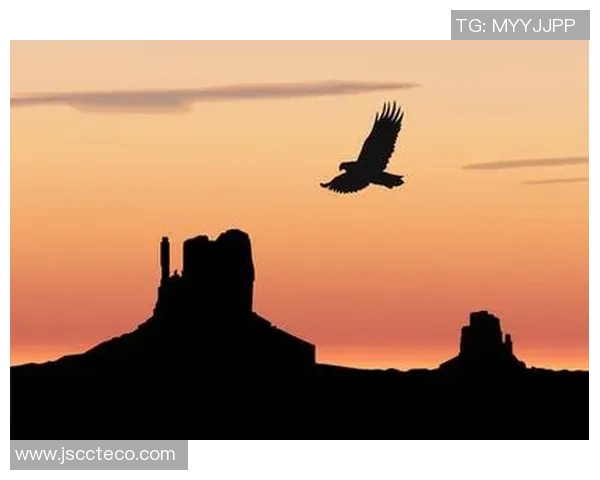 喷气机与凤凰的巅峰对决谁能在天空中翱翔得更高更远