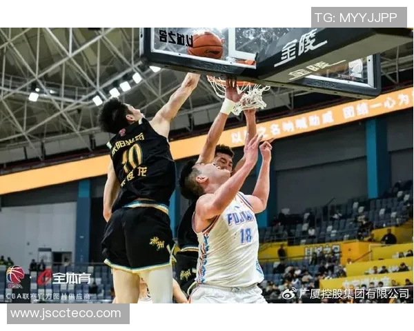 广厦与辽宁精彩对决录像回放全程回顾与精彩瞬间解析